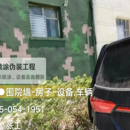 嘉兴数码迷彩漆施工